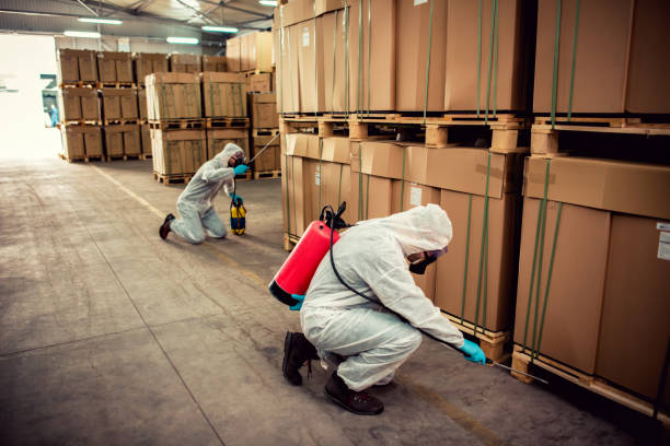 Best Best Pest Control Companies  in Auburn, CA