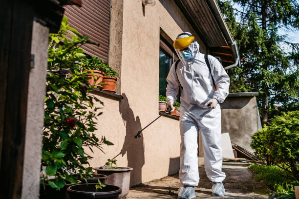 Best Emergency Pest Control  in Auburn, CA