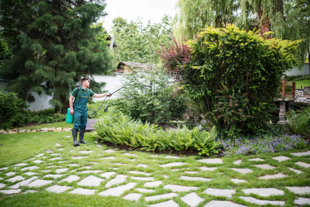 Best Pest Control for Restaurants  in Auburn, CA