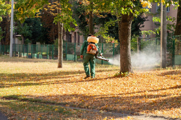 Best Pest Control Near Me  in Auburn, CA