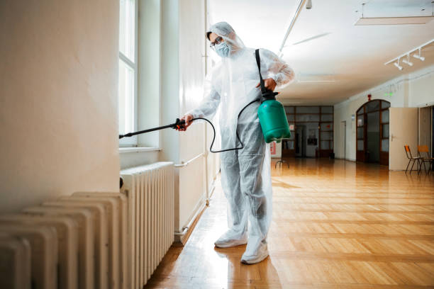 Best Affordable Pest Control Services  in Auburn, CA