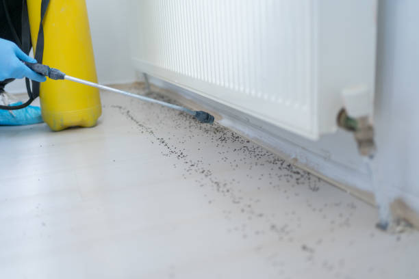Best Commercial Pest Control Services  in Auburn, CA