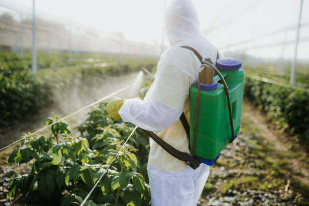Pest Control for Restaurants in Auburn, CA
